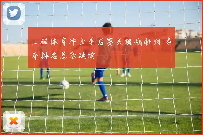 山猫体育冲击季后赛关键战胜利 争夺排名悬念延续