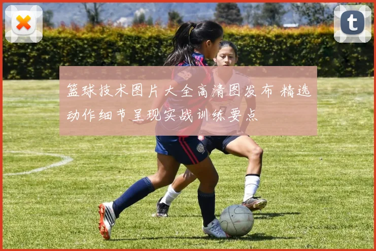 篮球技术图片大全高清图发布 精选动作细节呈现实战训练要点